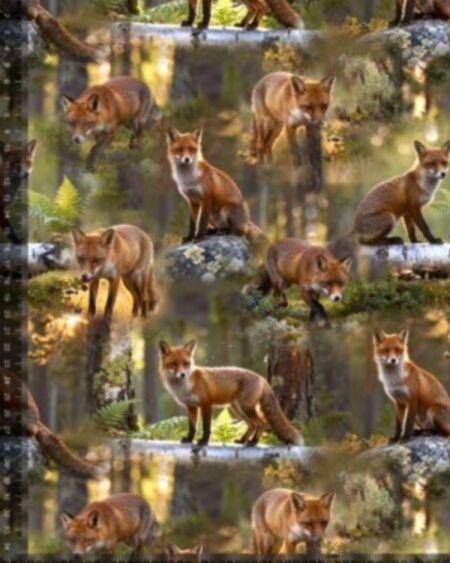 Bomuldsjersey med natur ræve