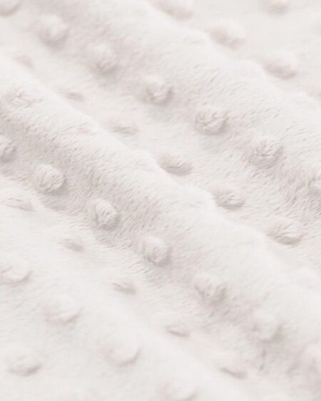 Minky Fleece råhvid